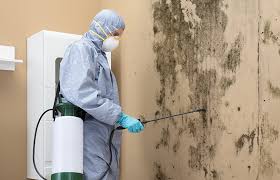 Dehumidification Services in Minden, LA